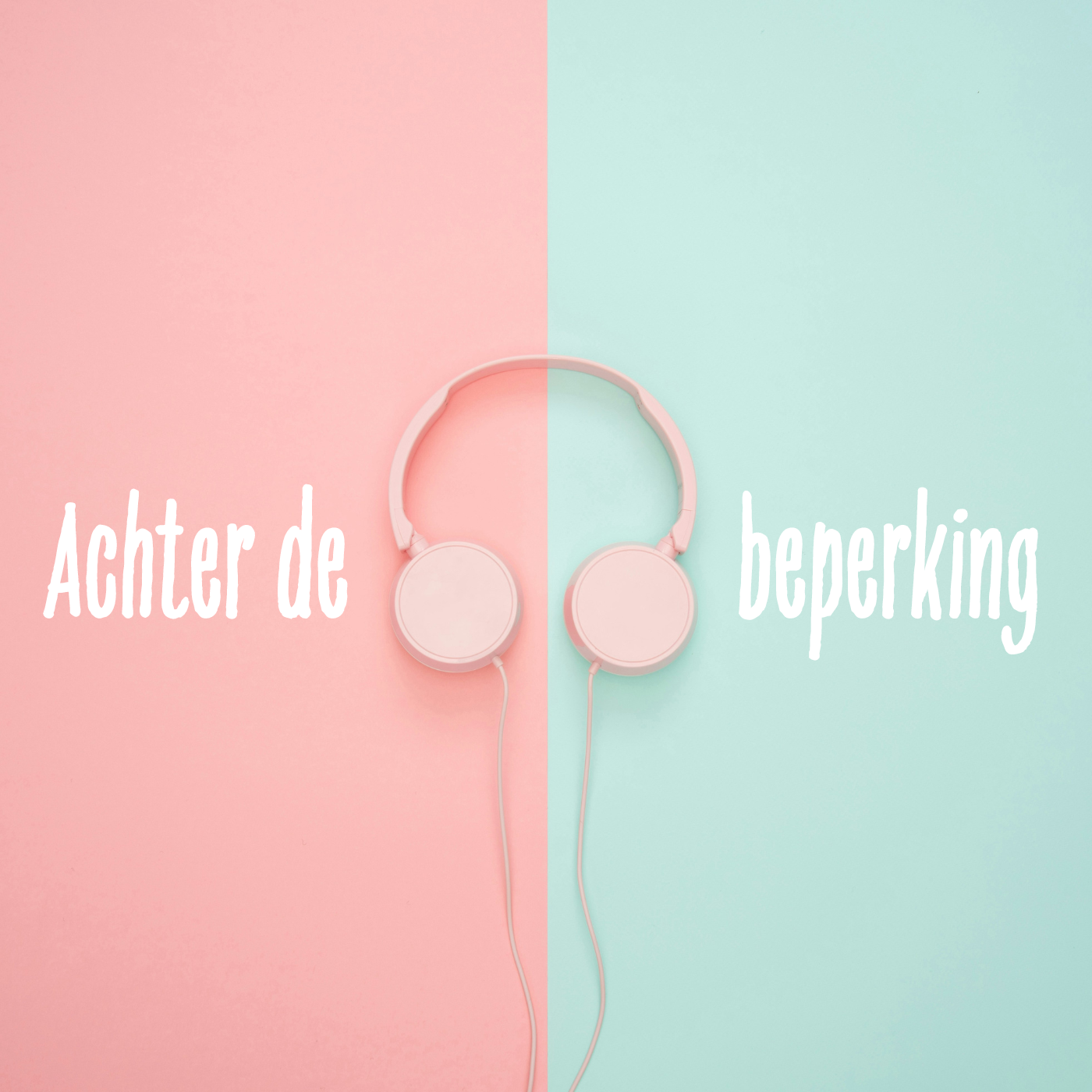 Aflevering 10 Podcast "Achter de Beperking"